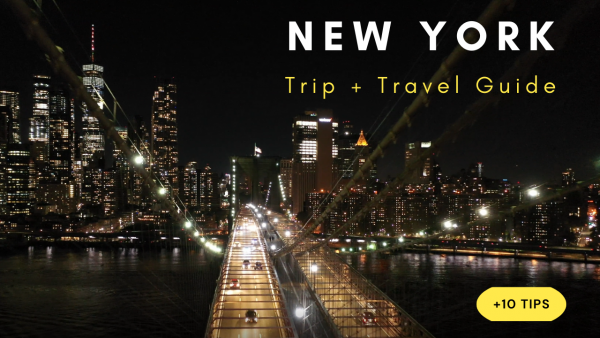 new-york-travel-guide-download